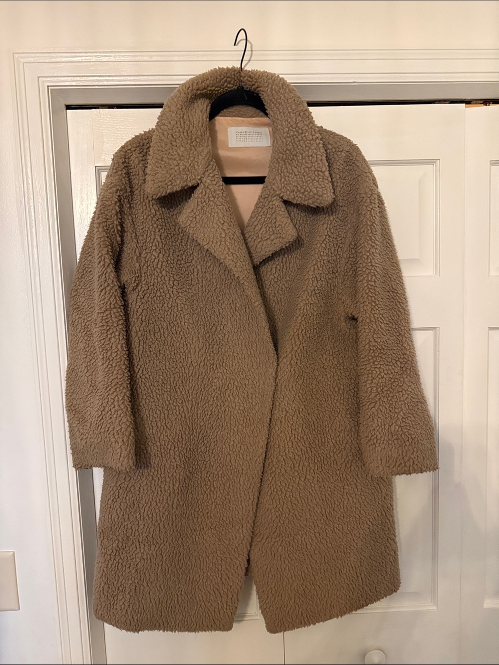 Women's Plush Teddy Coat in Taupe